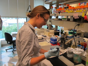 Sophia Stone performs work in a lab at the Fred Hutchinson Cancer Research Center in Seattle. 