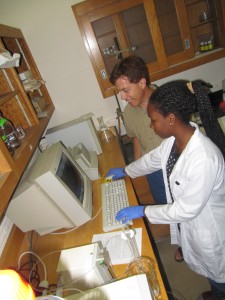 mbewe in lab