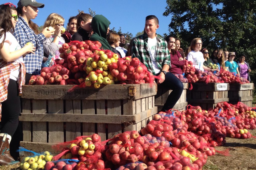 Mary Baldwin students participate in Apple Day
