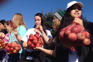Mary Baldwin Students Participate in Apple Gleaning at Woodbine Orchard