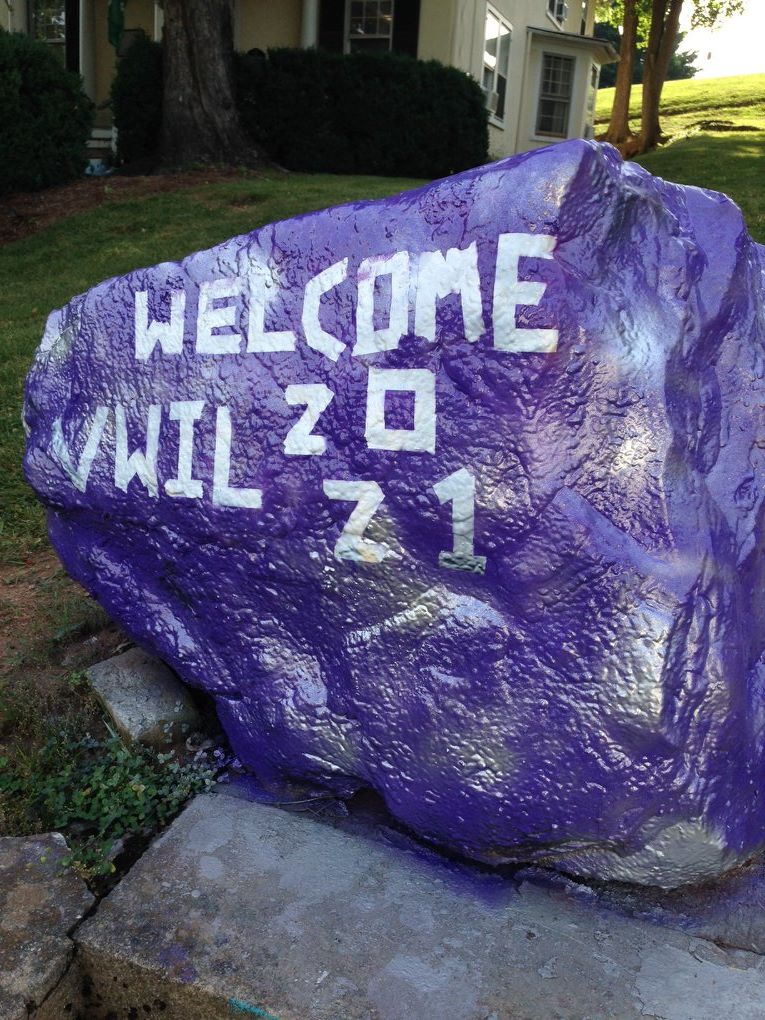 the VWIL spirit rock with the welcome 2021 message
