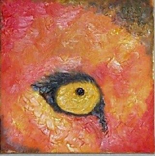 Lion's Eye 